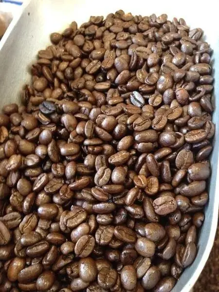 Decaf Pumpkin Spice Whole Bean Coffee – 1 Lb Flavorful Autumn Roast 1