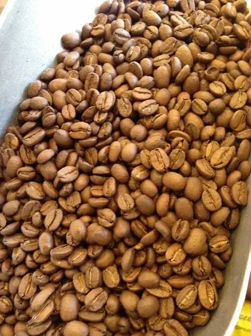 Peruvian Organic Fair-Trade Coffee Beans – Freshly Roasted Light-Medium Blend, 1 Lb 1