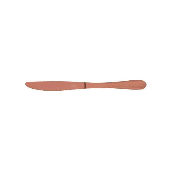 Soho Rose Collection Stainless Steel Table Knife Set – 12-Piece 1