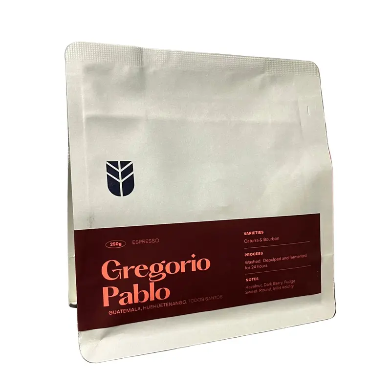 Subtext Guatemala Gregorio Pablo Milk-Friendly Espresso – On Sale 1